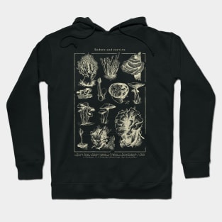 Endure and Survive - The last of us - Cordyceps mushrooms dark Hoodie